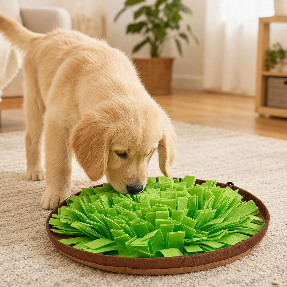 Tapis de recherche olfactive p - Dog Puzzle Feeder Toy avis et prix