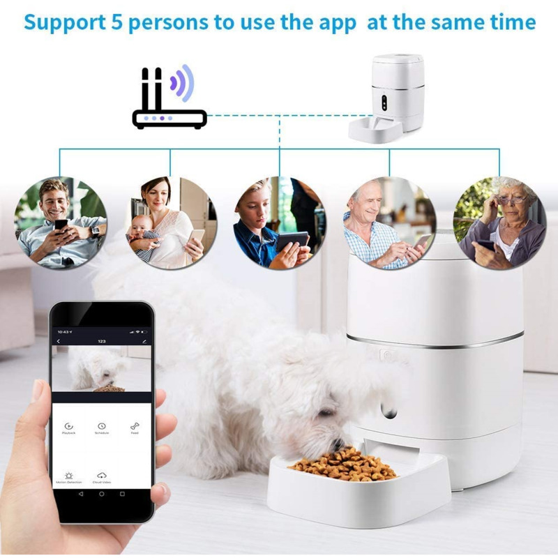 Distributeur automatique de no - Pet Feeders avis et prix