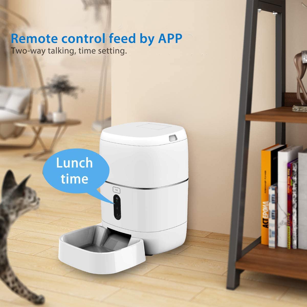 Distributeur automatique de no - Pet Feeders avis et prix