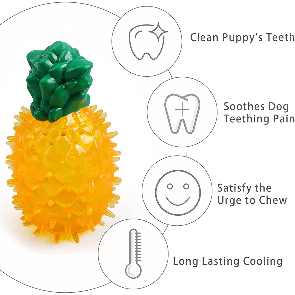 Jouet à mâcher réfrigérant pou - Indestructible Dog Chew Toy avis et prix